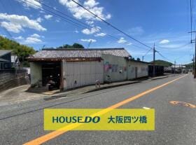 概観画像
