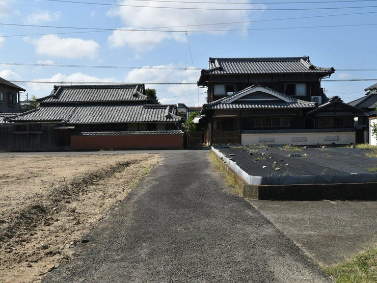 西側道路 2026.08.24