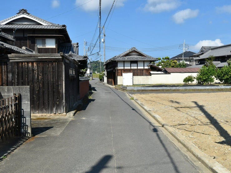 南側道路 2026.08.24
