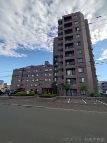 概観画像