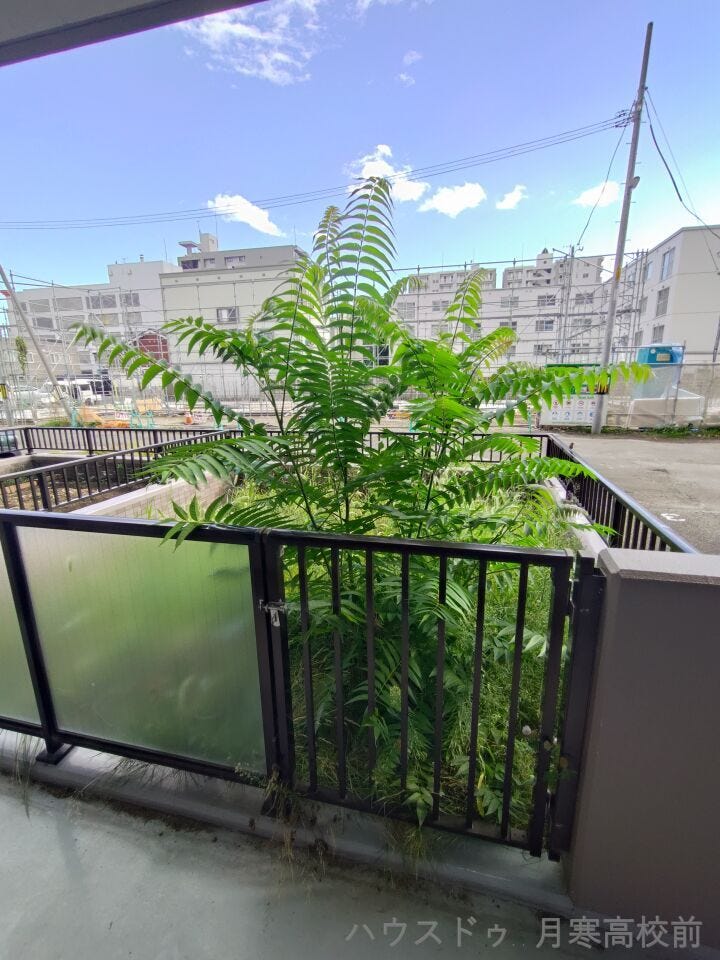 南向き