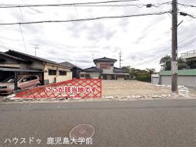 概観画像