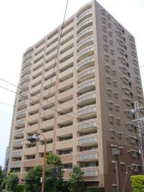 概観画像