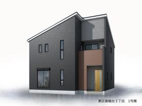 概観画像