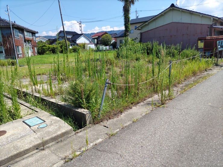 西側の間口は約11mと広くお家にボリューム感を出せます!