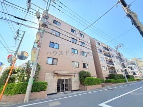 概観画像