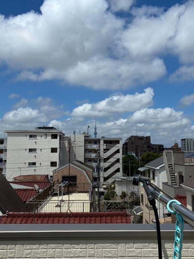 屋上庭園からはスカイツリーも望めます。家庭菜園やプールなど、家族楽しいひと時をお過ごしいただく場所にぴったりです。