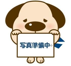 概観画像