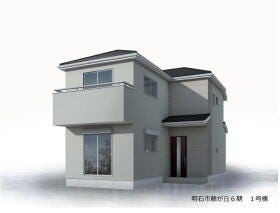 概観画像