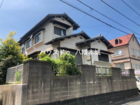 概観画像
