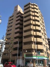 概観画像