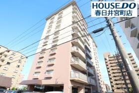 概観画像