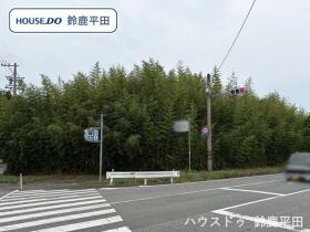 概観画像