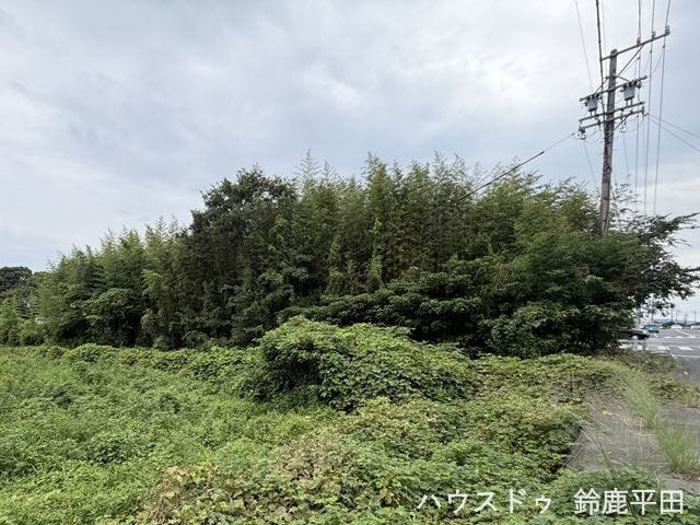 後ろ側から見た図です。(2026年8月29日 撮影)
