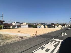概観画像