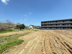 概観画像