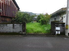 概観画像