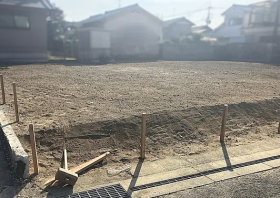 概観画像
