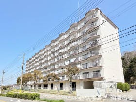 概観画像