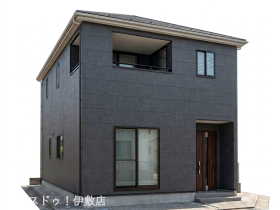 概観画像