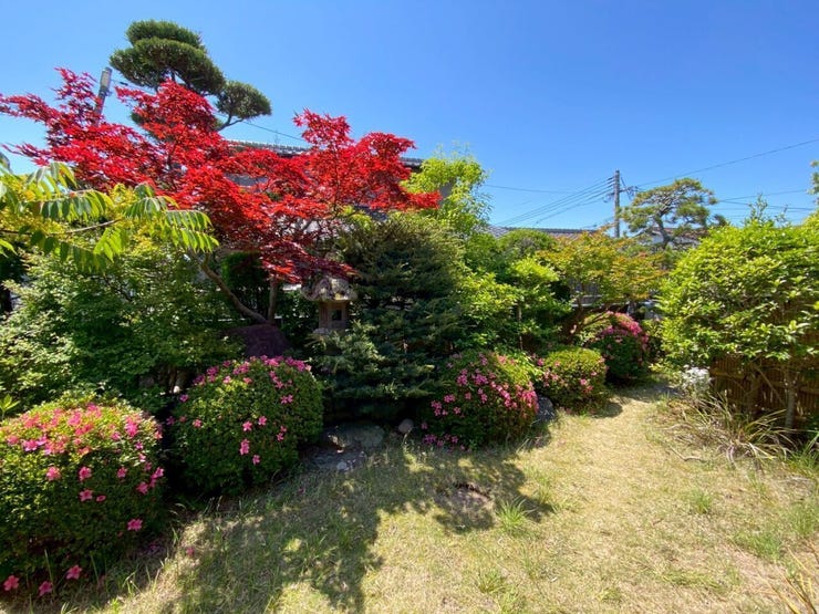 緑とお花に溢れた、素敵なお庭が広がっています♪