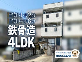 概観画像