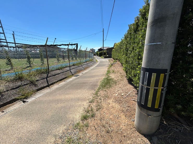 前面道路