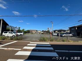 概観画像