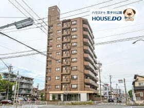概観画像