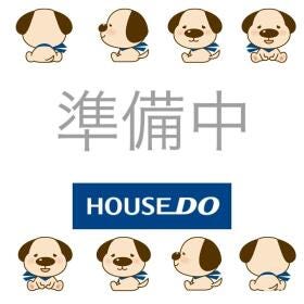 概観画像