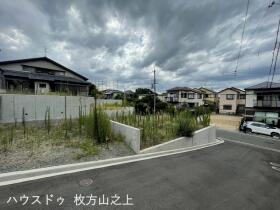 概観画像