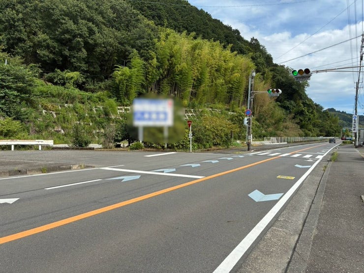 幅約10mの前面道路です。