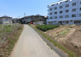 概観画像