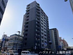 概観画像