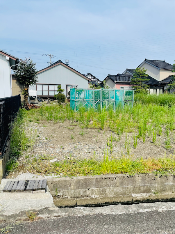東側から