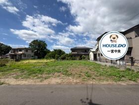 概観画像