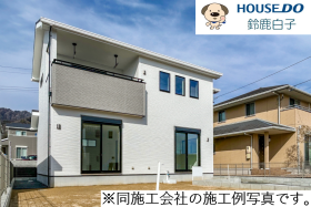 概観画像