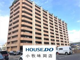 概観画像