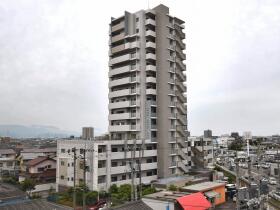 概観画像