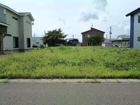 概観画像
