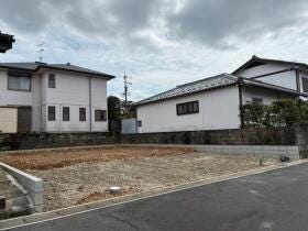 概観画像