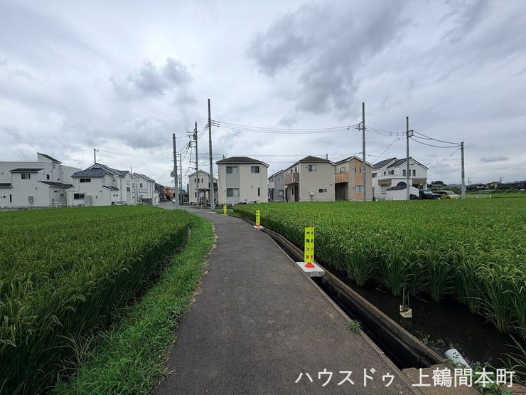 現地だからこそ伝わる、前面道路を含めた開放感をぜひご体感ください。