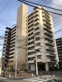 概観画像