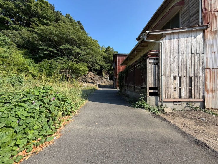 ※2026年8月時点の写真です