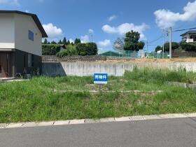 概観画像