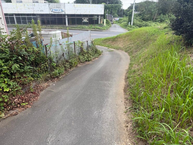 西側 道路