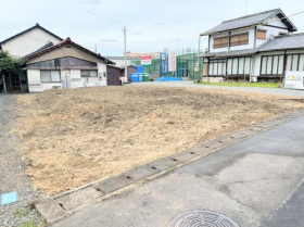 概観画像