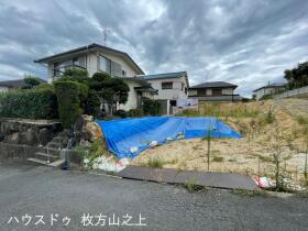 概観画像