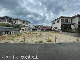 概観画像