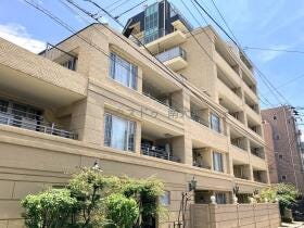 概観画像